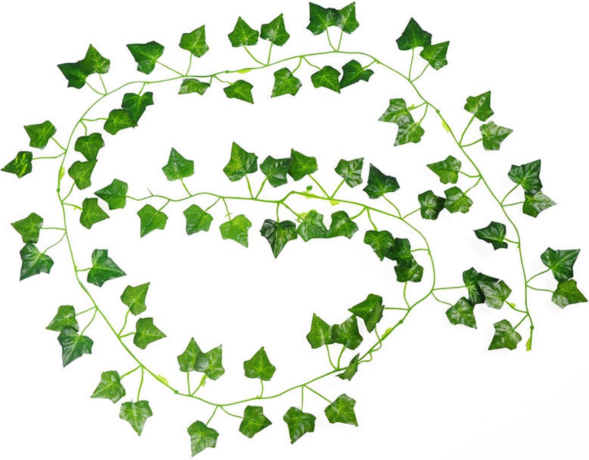 Klimop Slinger 12 Stuks - 200cm Lang