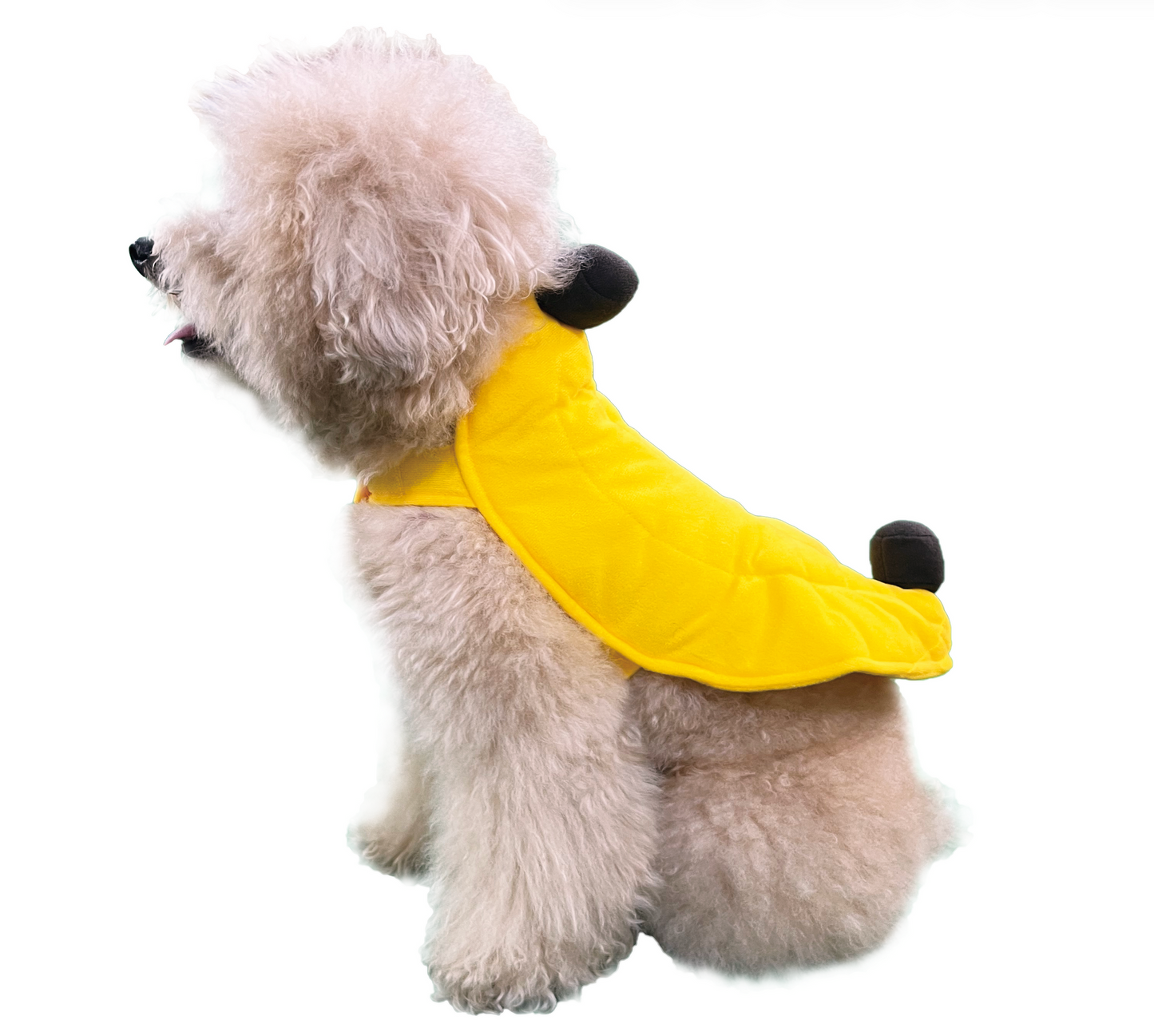 Banaan Verkleedpak Huisdier