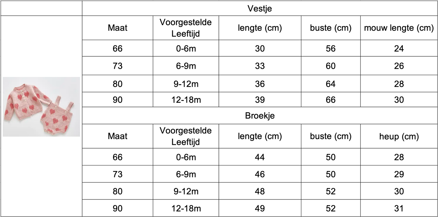 Baby Sweater set Harten