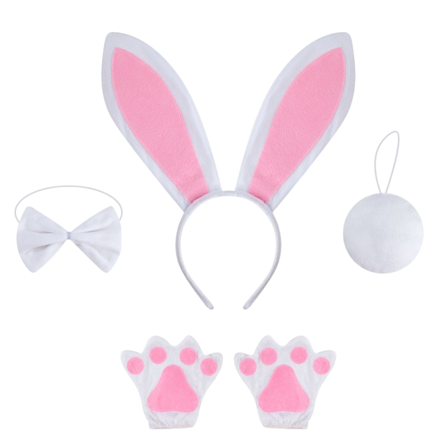Konijn Verkleed Accessoires
