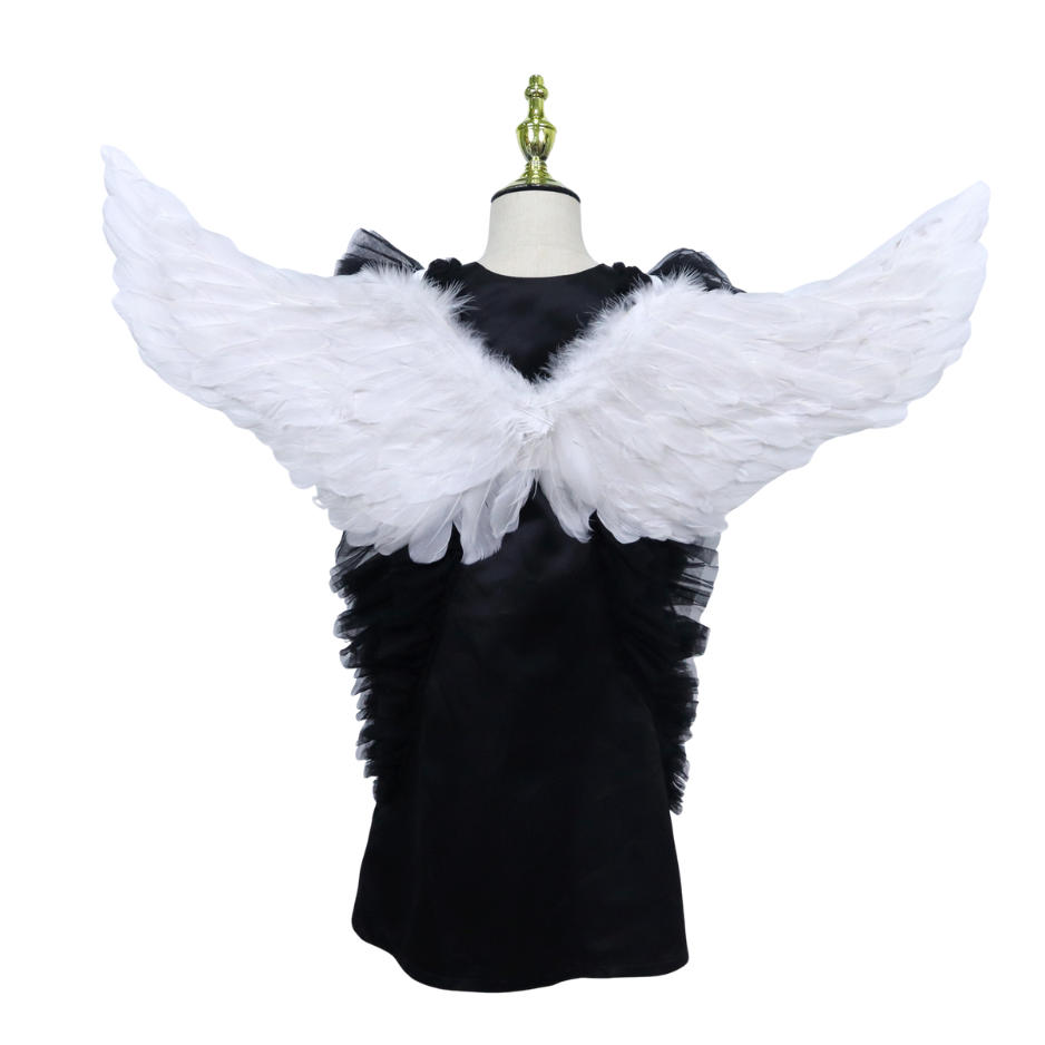 Grote Witte Veren Engel Vleugels Volwassenen