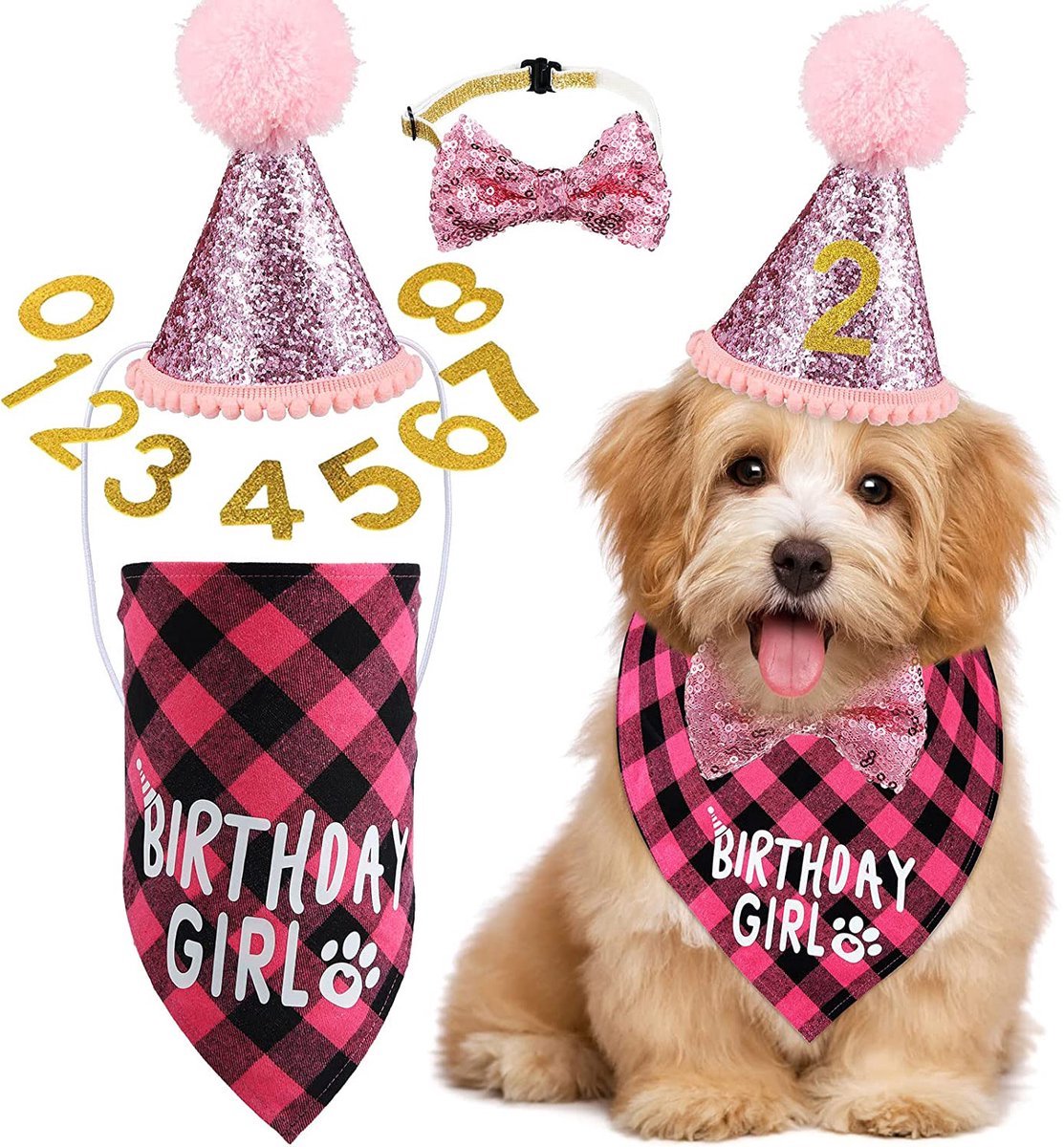 Verjaardagsset Hond Roze Teef