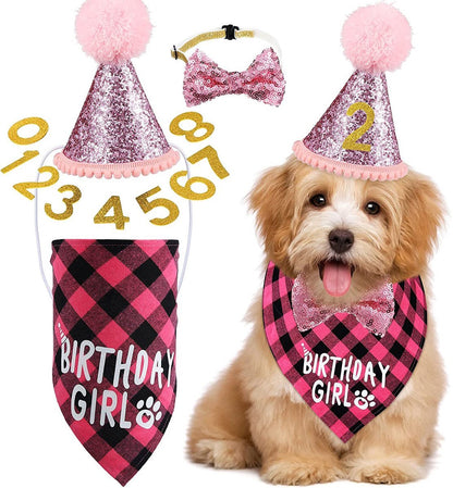 Verjaardagsset Hond Roze Teef