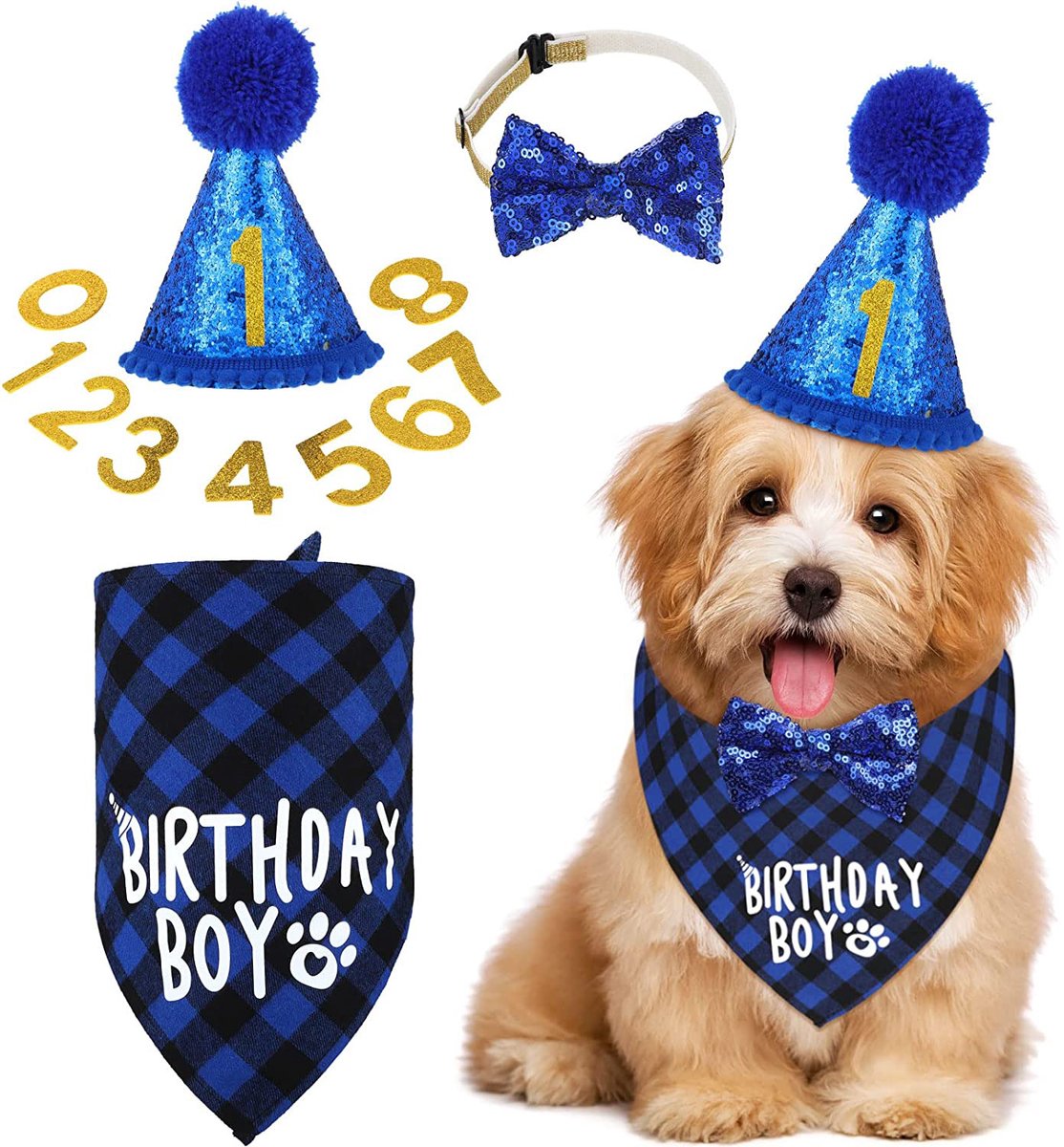 Verjaardagsset Hond Blauw Reu