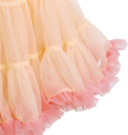 Zalm Licht Roze Verkleedrok met Tule