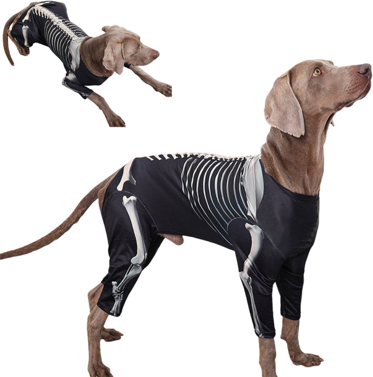 Verkleedpak Hond Skelet