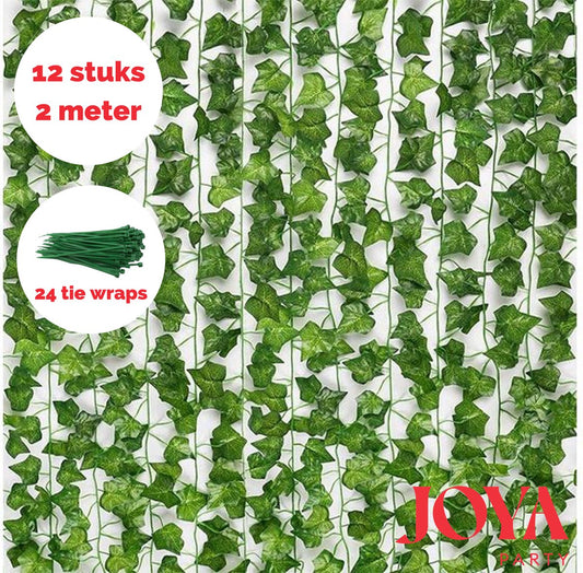 Klimop Slinger 12 Stuks - 200cm Lang