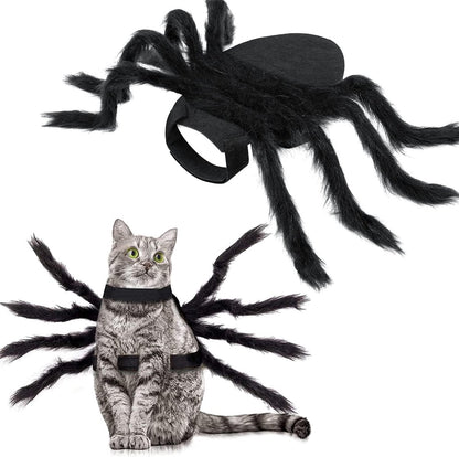 Spin Kostuum voor Kat of Hond