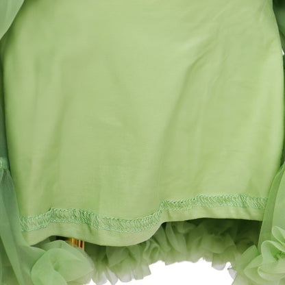 Pastel Groen Verkleedrok met Tule
