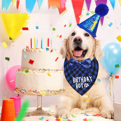Verjaardagsset Hond Blauw Reu