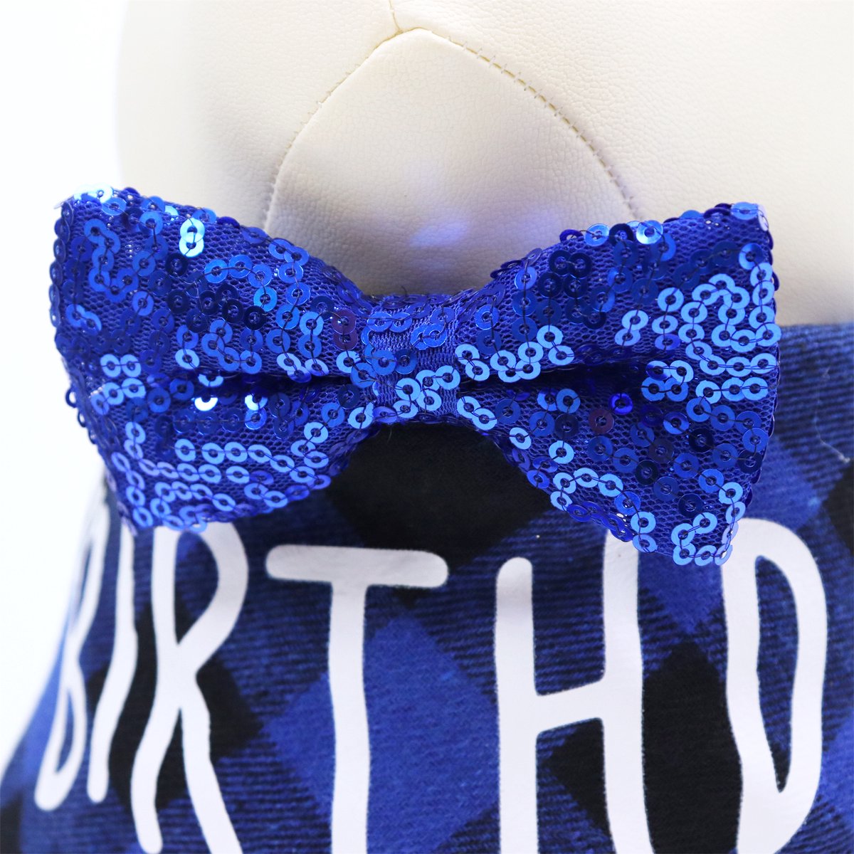 Verjaardagsset Hond Blauw Reu