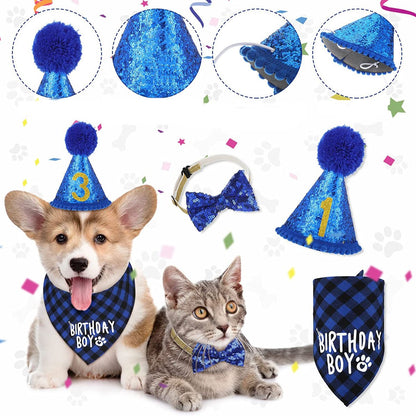 Verjaardagsset Hond Blauw Reu