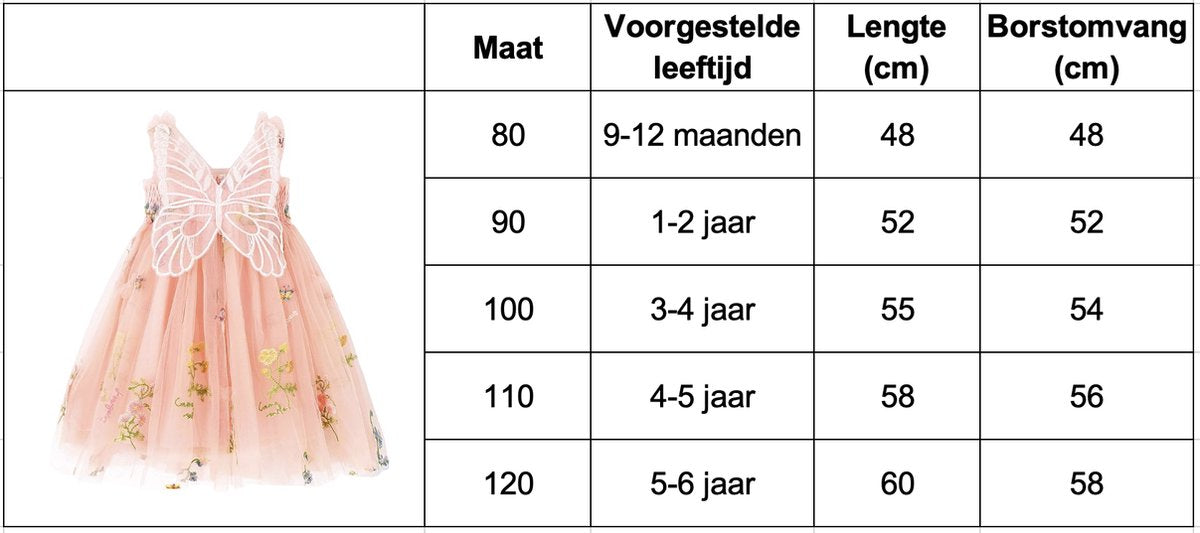 Baby Meisjes Prinsessenjurk met Vlinders en Bloemen Zacht Roze