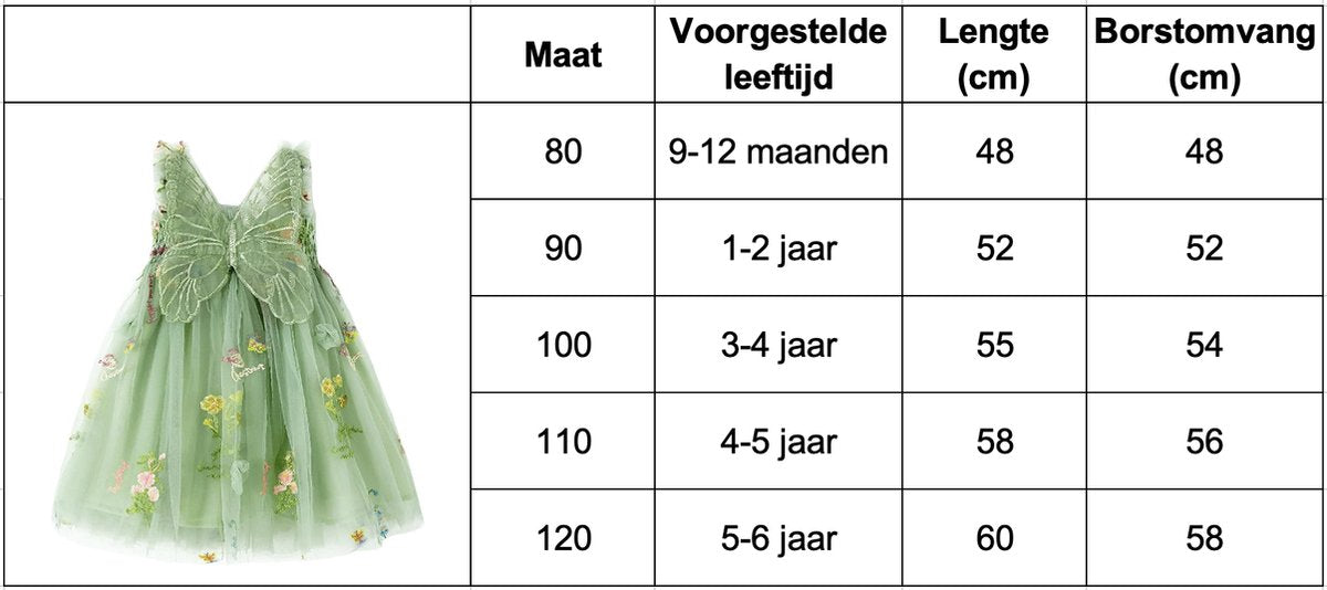 Baby Meisjes Prinsessenjurk met Vlinders en Bloemen Groen