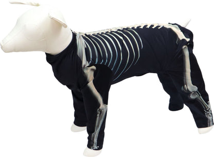 Verkleedpak Hond Skelet
