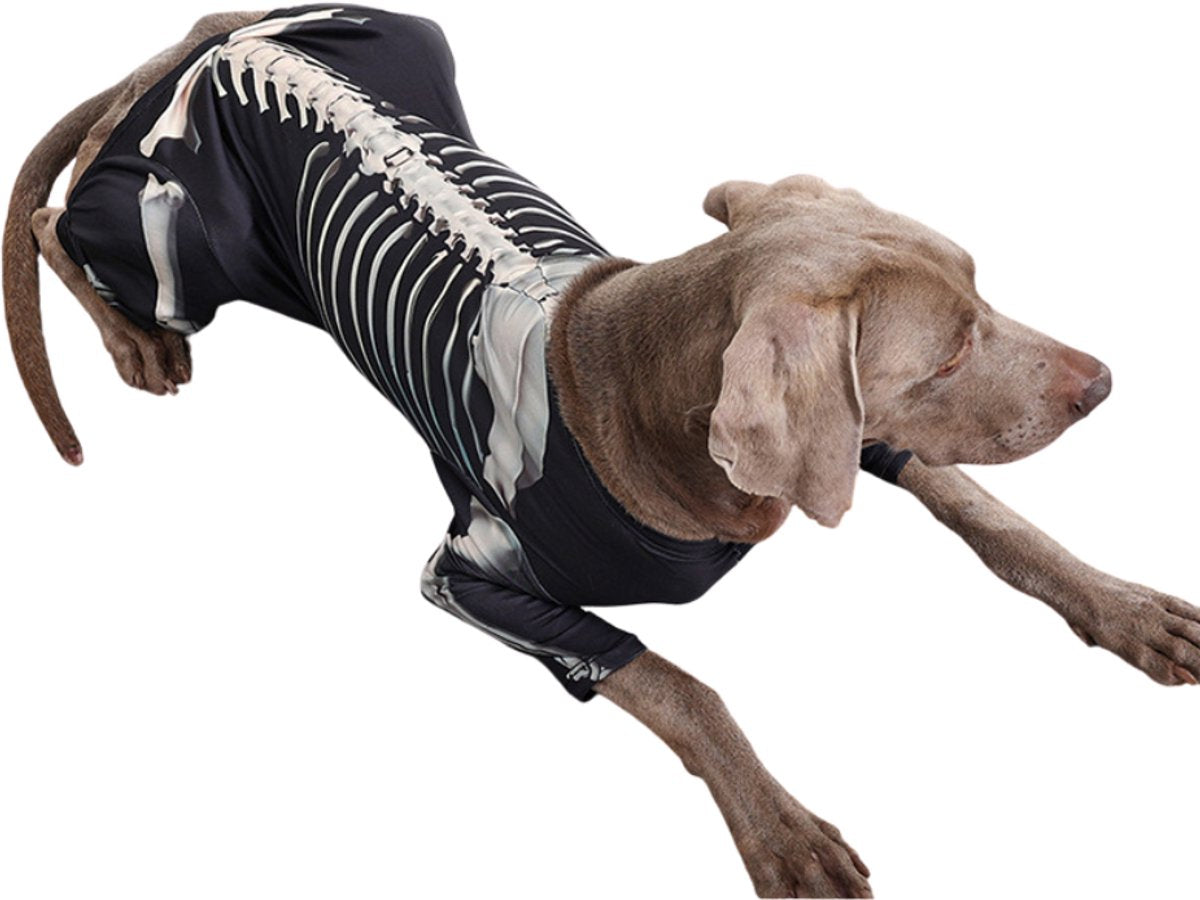 Verkleedpak Hond Skelet