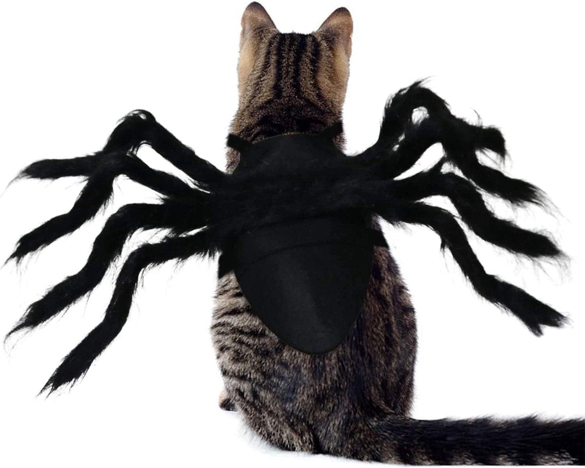 Spin Kostuum voor Kat of Hond