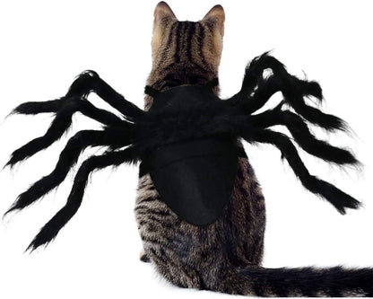 Spin Kostuum voor Kat of Hond