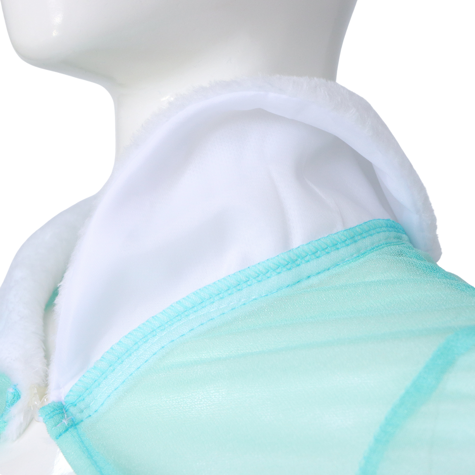 Elsa ijsprinses Verkleed Jurk Volwassenen