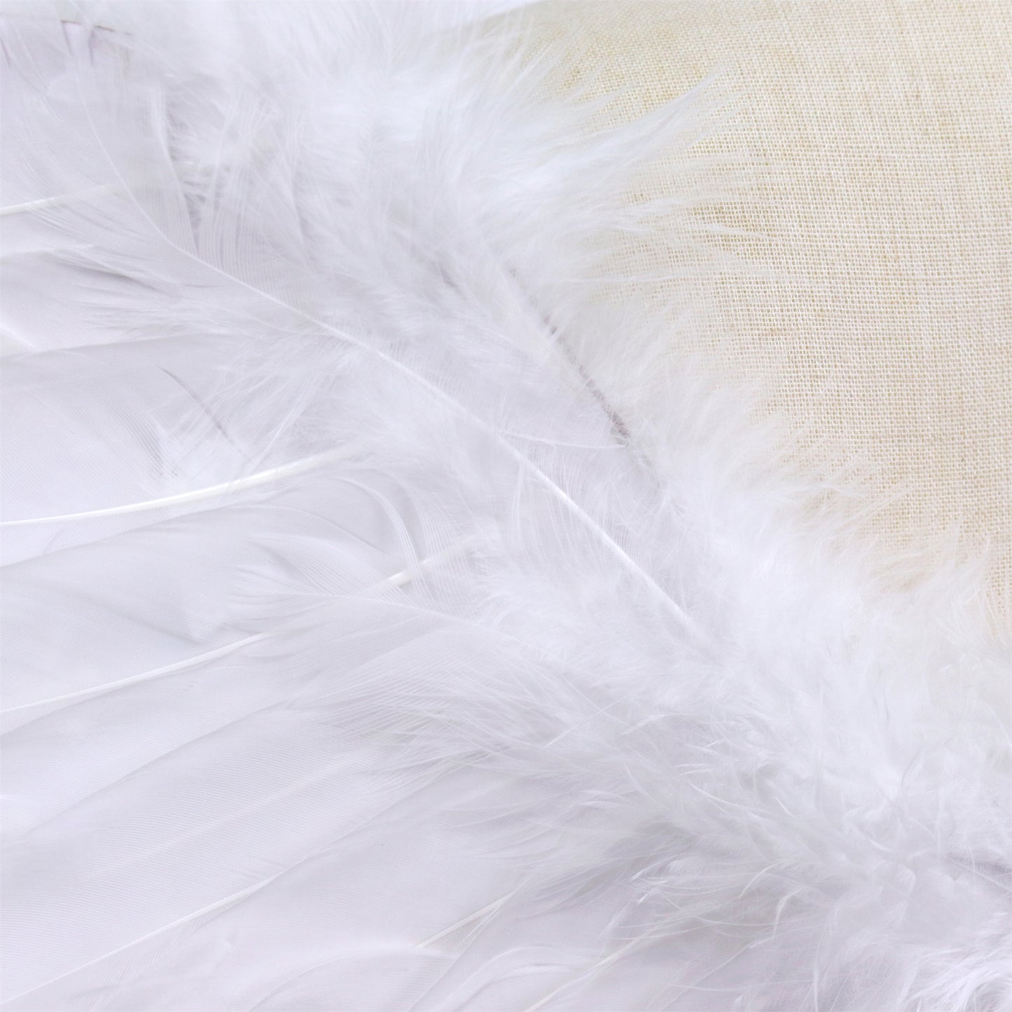 Grote Witte Veren Engel Vleugels Volwassenen