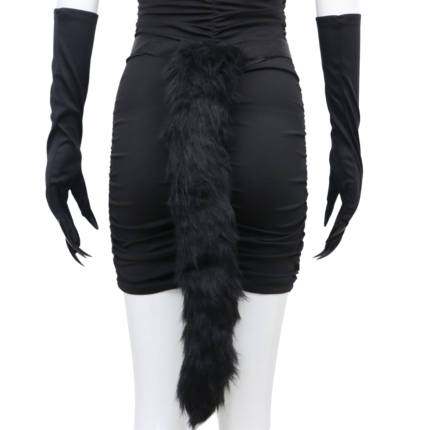 Catwoman Accessoires Set 5-delig