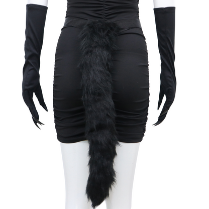 Catwoman Accessoires Set 5-delig