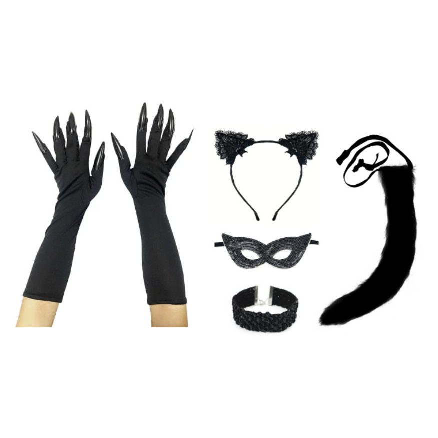 Catwoman Accessoires Set 5-delig