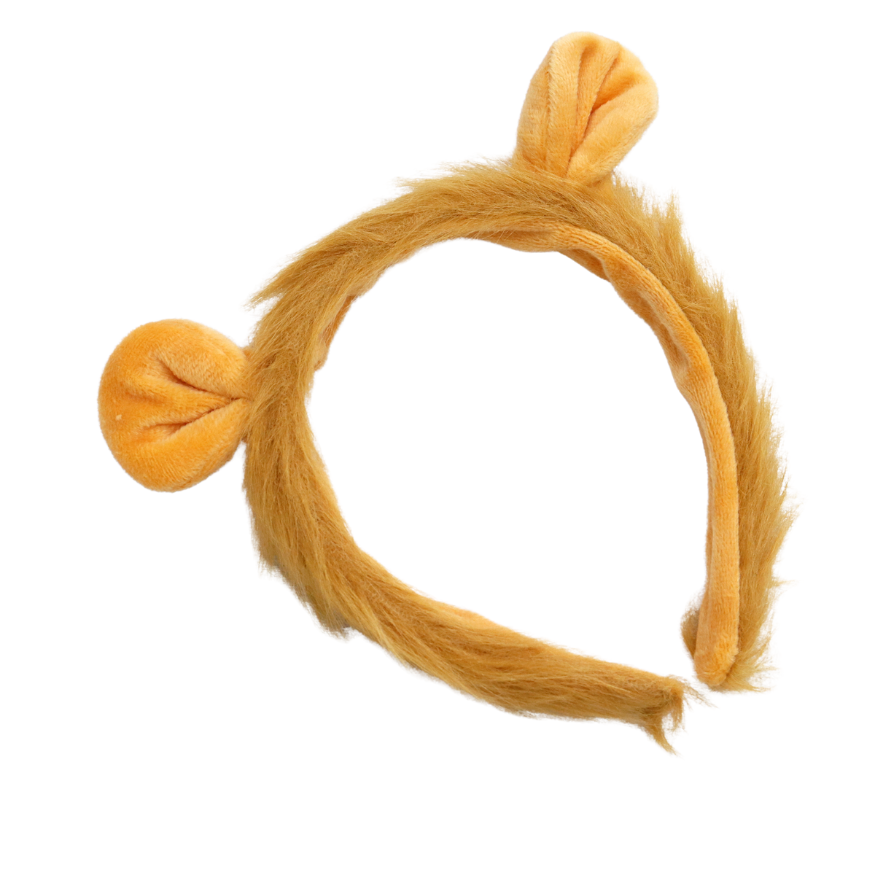 Leeuw Verkleed Accessoires