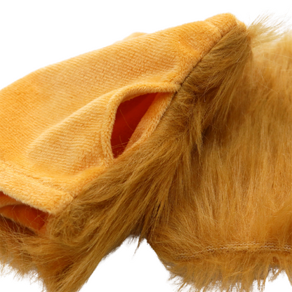 Leeuw Verkleed Accessoires