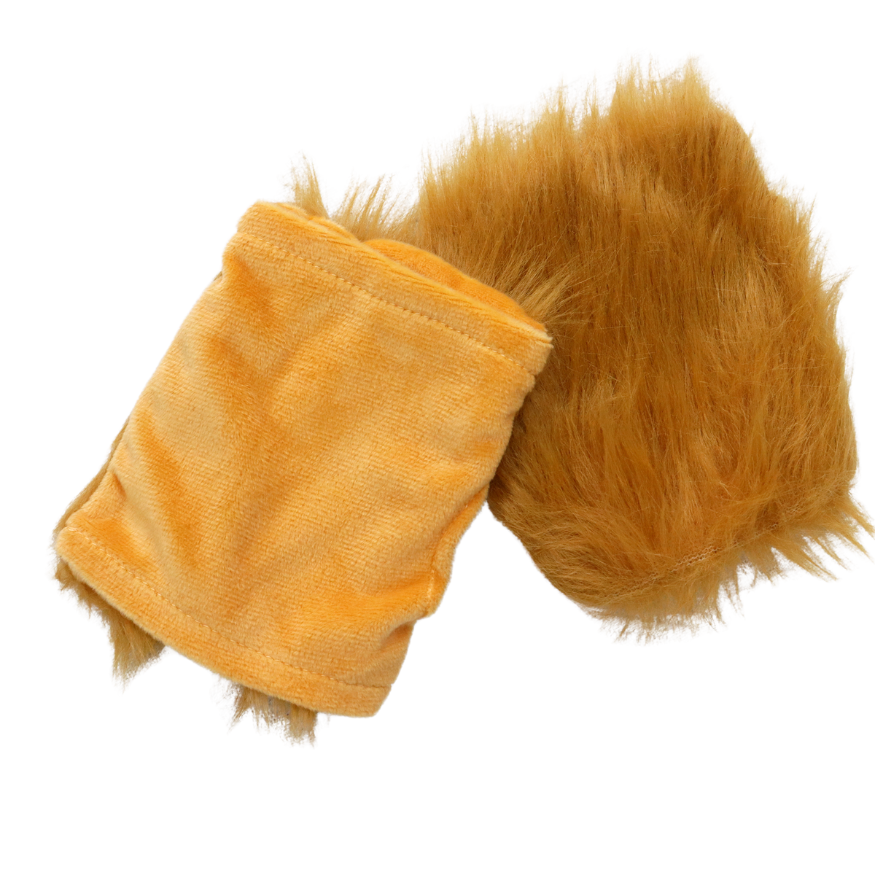 Leeuw Verkleed Accessoires