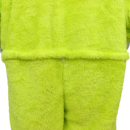 Teletubbie Onesie DIPSY