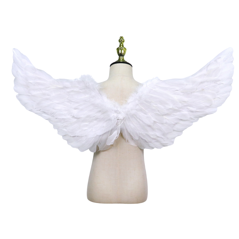 Grote Witte Veren Engel Vleugels Volwassenen
