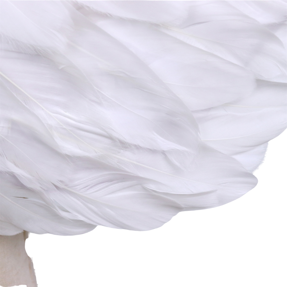 Grote Witte Veren Engel Vleugels Volwassenen