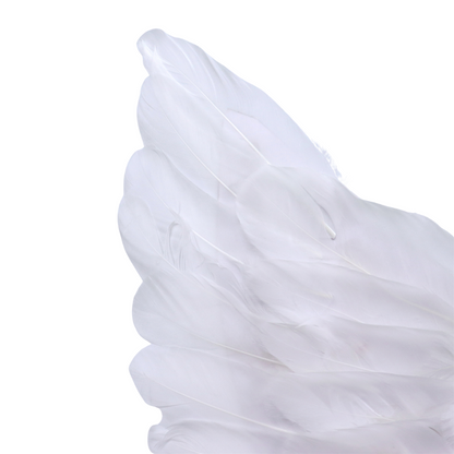 Grote Witte Veren Engel Vleugels Volwassenen