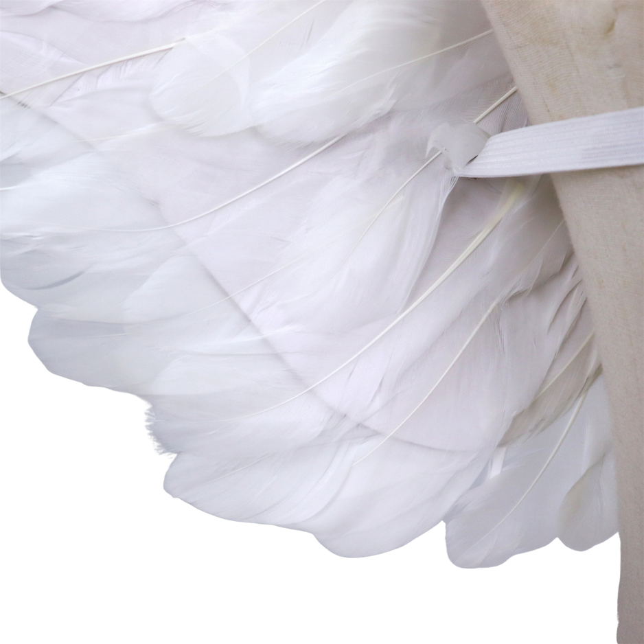 Grote Witte Veren Engel Vleugels Volwassenen