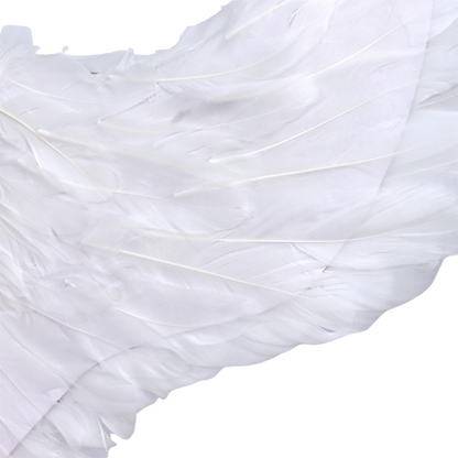 Grote Witte Veren Engel Vleugels Volwassenen